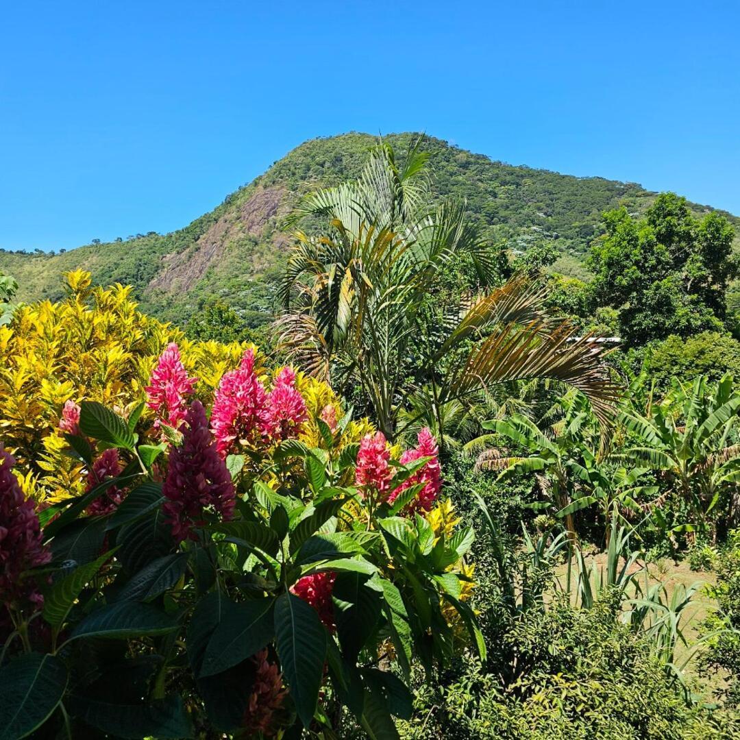 Casa Tia Rosa Hospedagem Familiar กวาปิมิริม ภายนอก รูปภาพ